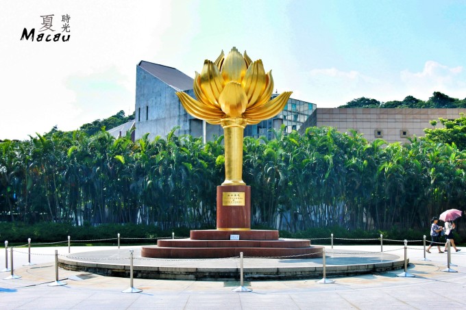 澳門六門彩網(wǎng)金牛版，探索與體驗，澳門六門彩網(wǎng)金牛版，探索與體驗之旅