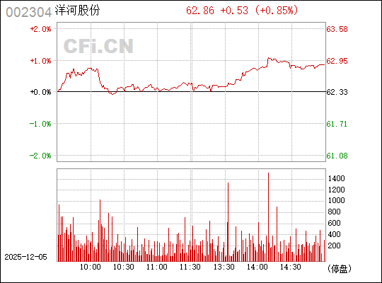股票002304，深度解析與投資策略，股票002304深度解析與實(shí)戰(zhàn)投資策略探討