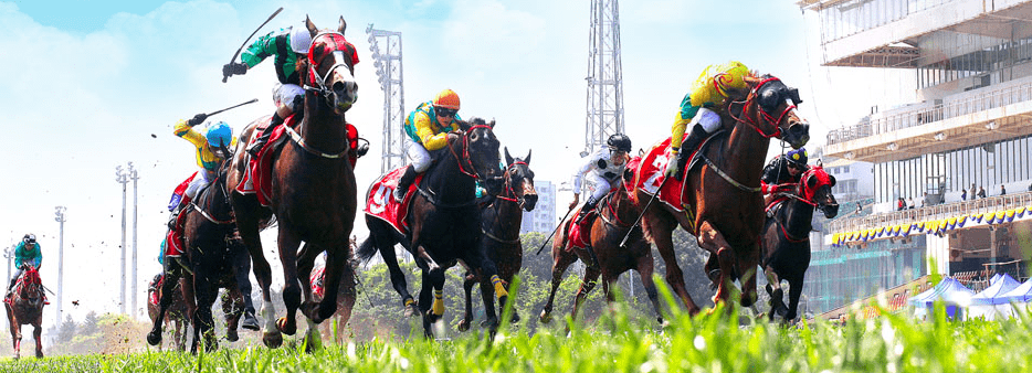 澳門賽馬會資料最準(zhǔn)一碼，深度解析與最新資訊，澳門賽馬會資料解析，最新一碼與深度資訊匯總