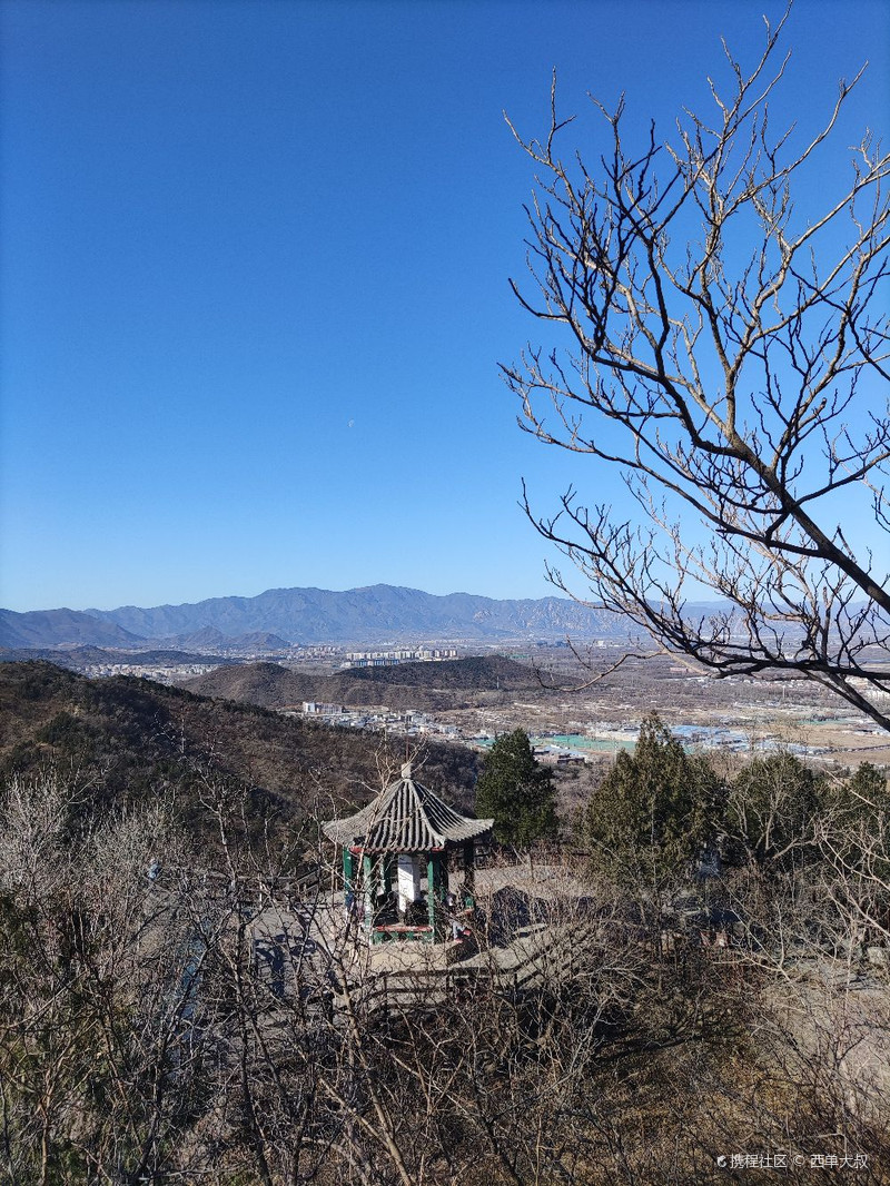 百望山森林公園，自然之美的獨特體驗，百望山森林公園，自然之美的獨特探險之旅