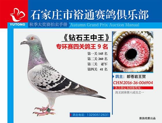 王中王一期一肖特中獎，揭秘彩票背后的秘密與策略，揭秘彩票背后的秘密與策略，王中王一期一肖特中獎解析