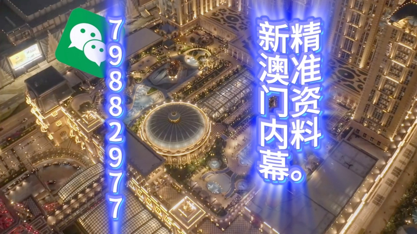 新澳門精準(zhǔn)三肖三碼中特，探索澳門博彩文化的獨(dú)特魅力，澳門博彩文化獨(dú)特魅力探索，精準(zhǔn)三肖三碼中特