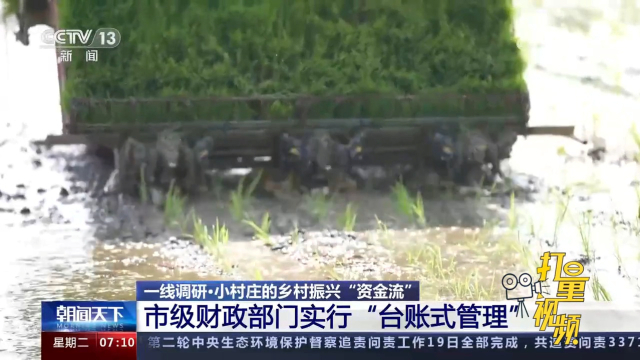 揭秘王中王滅莊好料一肖一真相，揭秘王中王滅莊真相，揭秘好料一肖內(nèi)幕