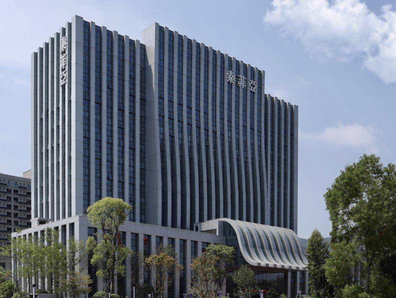 索菲亞，探尋品牌魅力與SEO優(yōu)化之道，索菲亞，品牌魅力與SEO優(yōu)化之旅