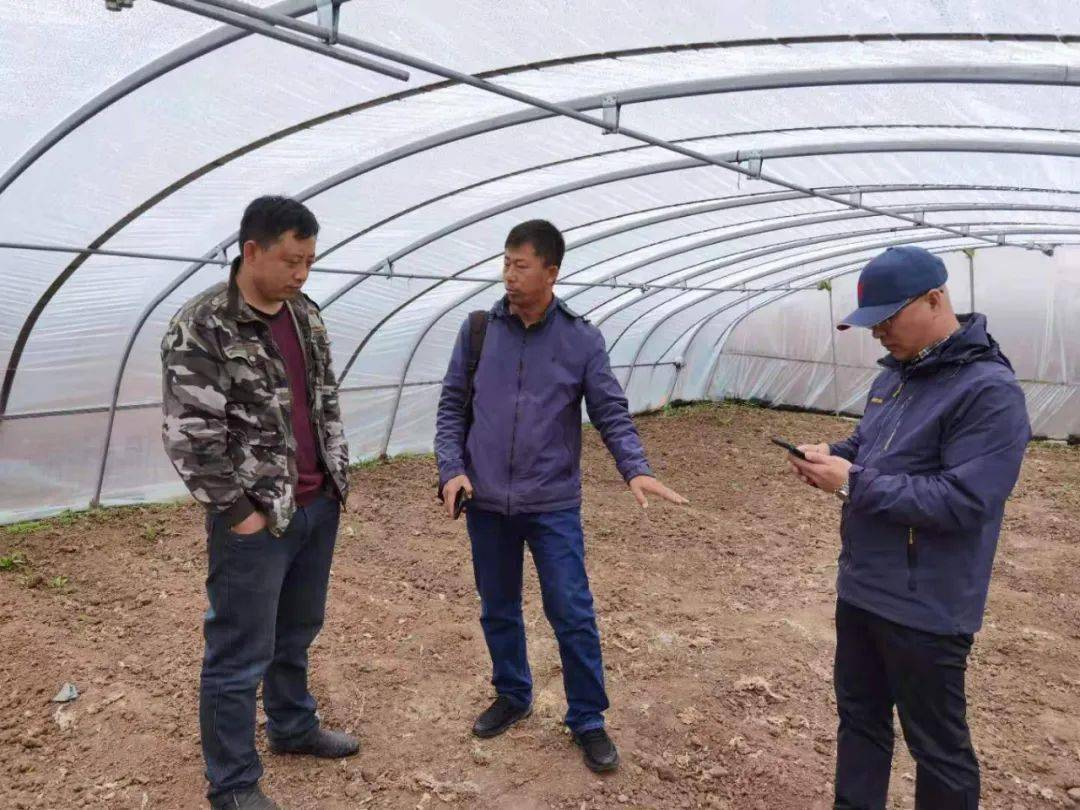 新澳門王中王期期命中，揭秘背后的秘密與策略，揭秘新澳門王中王期期命中的秘密與策略之道