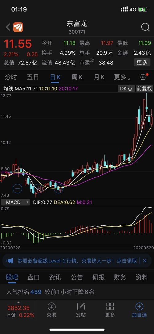 東富龍股票，深度解析與前景展望，東富龍股票深度解析及未來前景展望