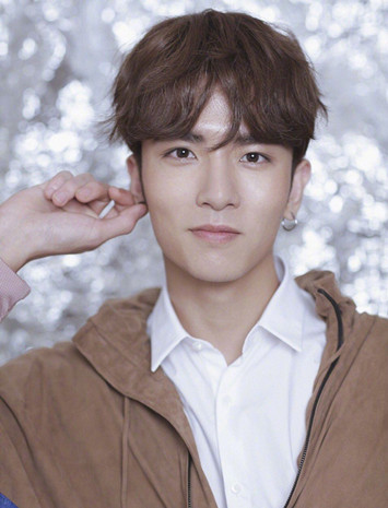 關于300495的最新消息全面解析，300495最新消息全面解析