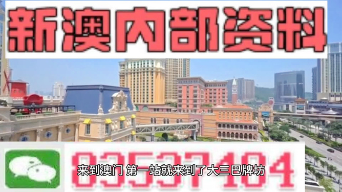 新澳新澳門(mén)正版資料，探索與解析，新澳新澳門(mén)正版資料深度解析與探索