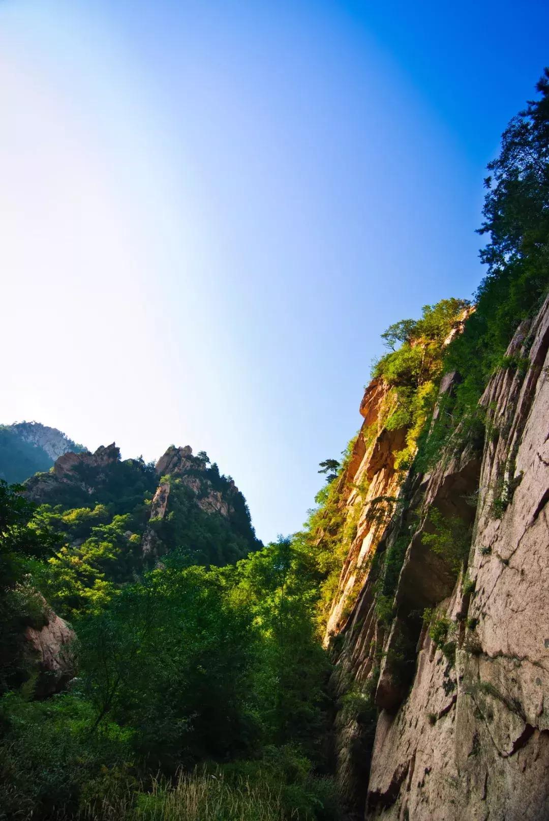 劉伯溫一肖中特130期，揭秘神秘預(yù)測背后的故事，劉伯溫一肖中特130期揭秘，神秘預(yù)測背后的真相探秘