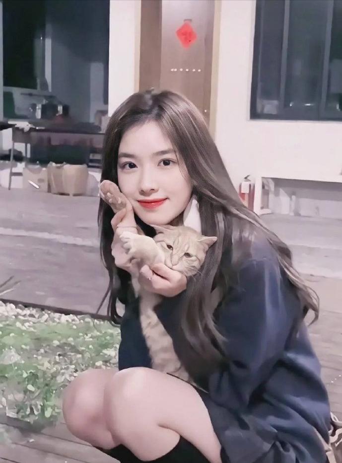 孫一寧照片與個(gè)人資料，深度探索，孫一寧照片與深度個(gè)人資料探索