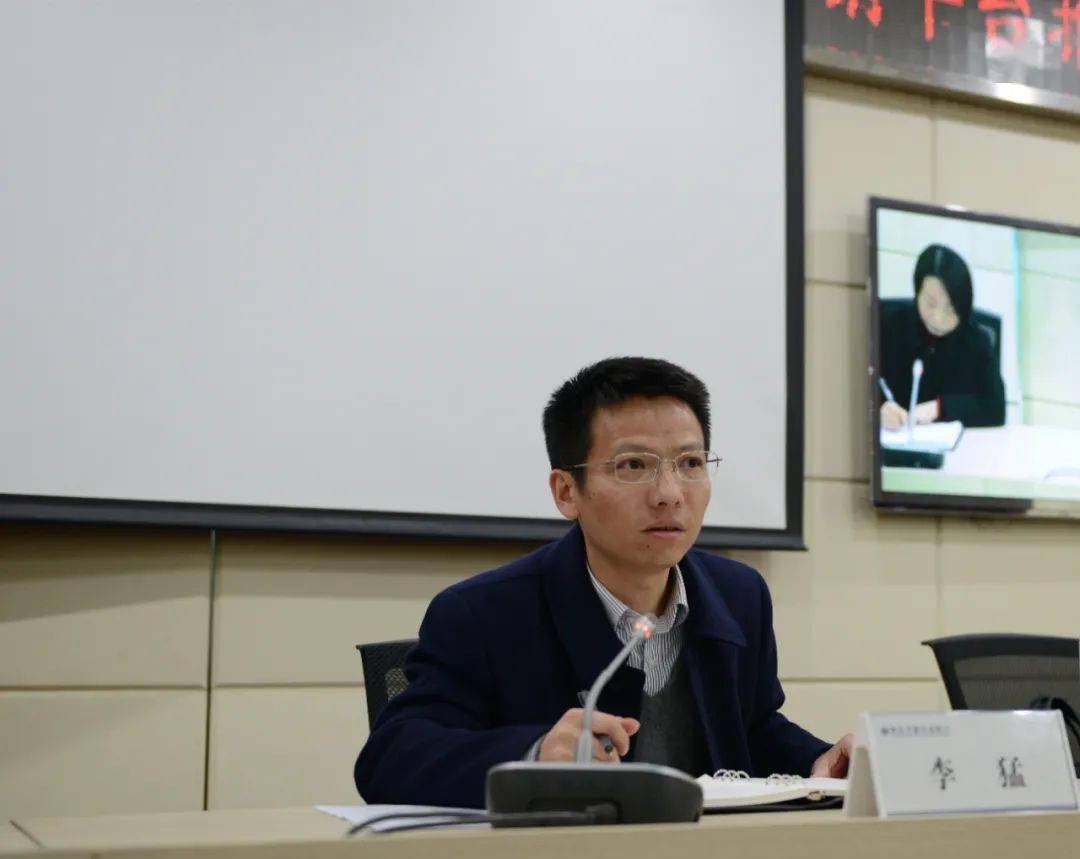 正版王中王一肖平碼圖——深度解析與探索，正版王中王一肖平碼圖深度探索與解析