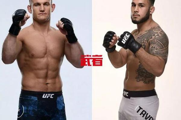 澳門六開獎結(jié)果記錄圖，探索彩票背后的秘密，澳門六開獎結(jié)果記錄圖揭秘彩票背后的秘密