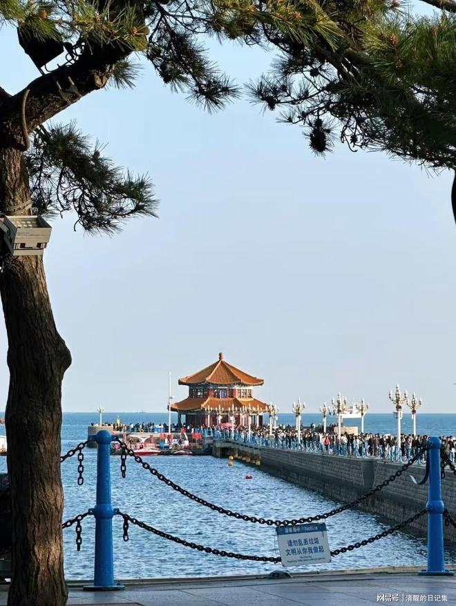 青島三天兩夜旅游攻略，探索海濱城市的魅力，青島三日兩夜旅游攻略，海濱城市魅力探索之旅