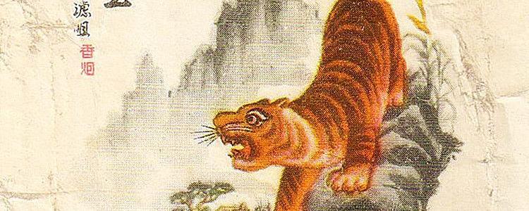 猛虎下山王中王，一生肖的獨(dú)特象征與奧秘，猛虎下山，生肖的獨(dú)特象征與奧秘