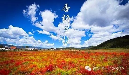 金秋十月，探尋最適合你的旅游目的地，金秋十月，探尋最佳旅游目的地之旅