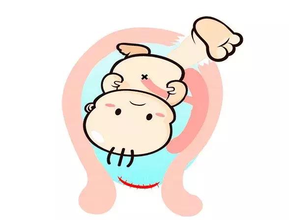 孕囊算不算一條生命，深度解析胚胎早期發(fā)育的奧秘，孕囊與胚胎早期發(fā)育，深度解析一條生命的誕生奧秘