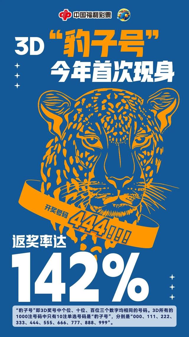 王中王金錢豹一肖中特，揭秘背后的神秘故事與SEO奧秘，揭秘王中王金錢豹背后的神秘故事與SEO奧秘