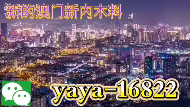今晚澳門買什么最好？探索最佳選擇與策略，澳門今晚最佳選擇與策略探索指南