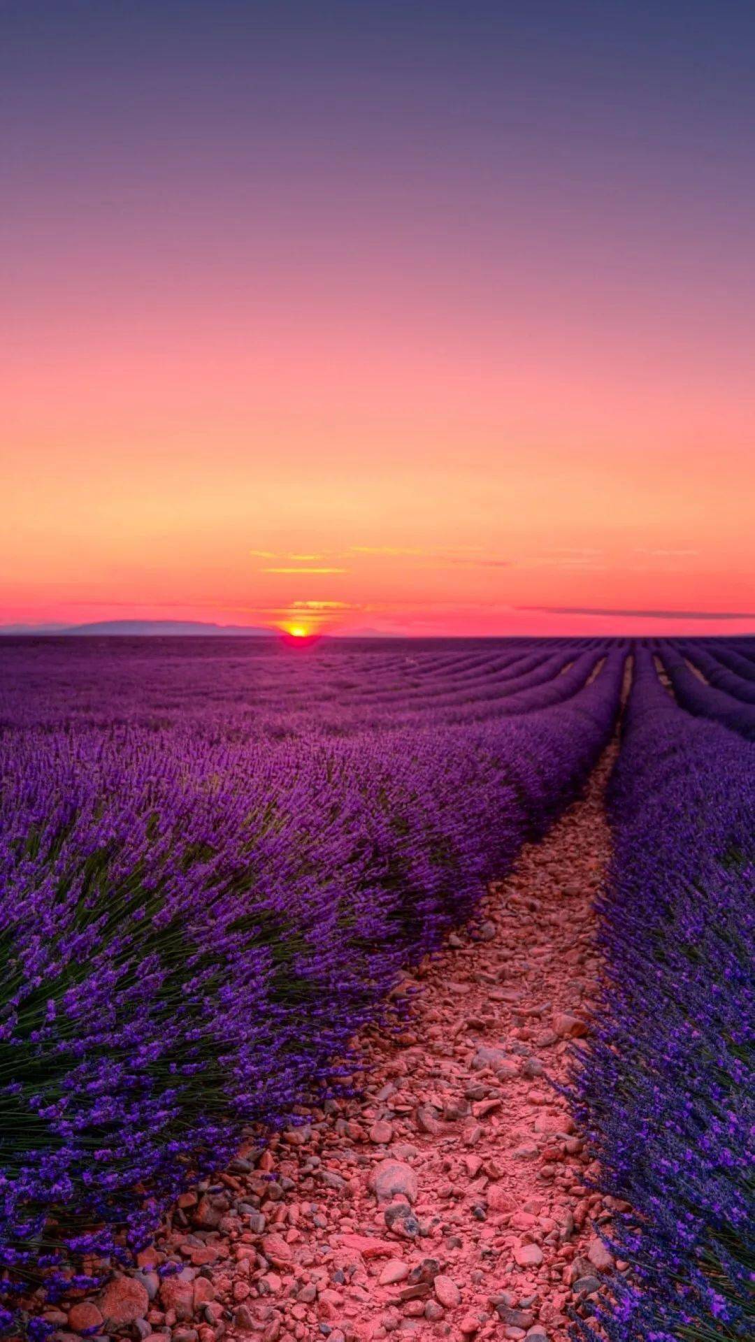 揭秘劉伯溫一肖六碼中特之謎，探尋背后的故事與真相，劉伯溫一肖六碼中特背后的故事與真相揭秘