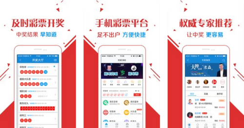 王中王玄機一肖資料解析與SEO優(yōu)化探討，王中王玄機生肖資料解析與SEO策略優(yōu)化探討