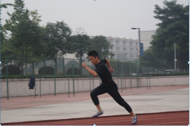 YN蕩校園運動會精彩瞬間，運動之筆記錄輝煌，YN蕩校園運動會輝煌瞬間，運動之筆描繪精彩篇章