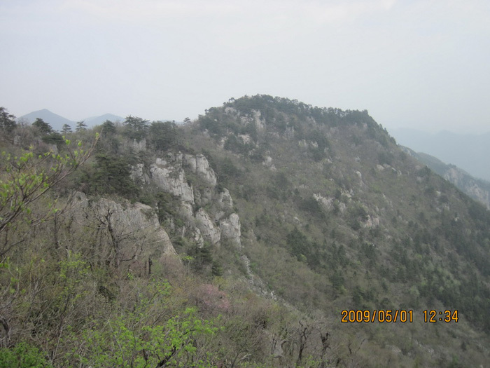 天目山風(fēng)景區(qū)，自然美景的瑰寶，天目山風(fēng)景區(qū)，自然美景的絕美瑰寶