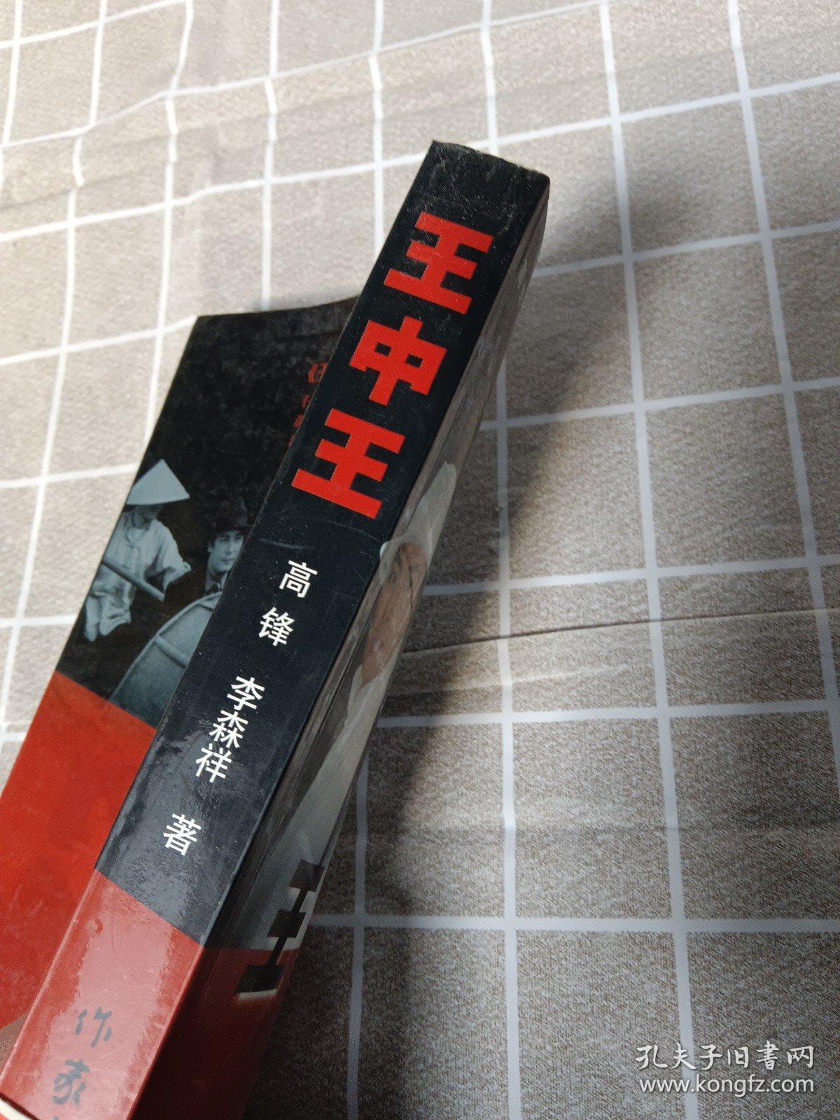 王中王資料一肖中官家，深度解析與探索，王中王資料揭秘，一肖中官家的深度解析與探索