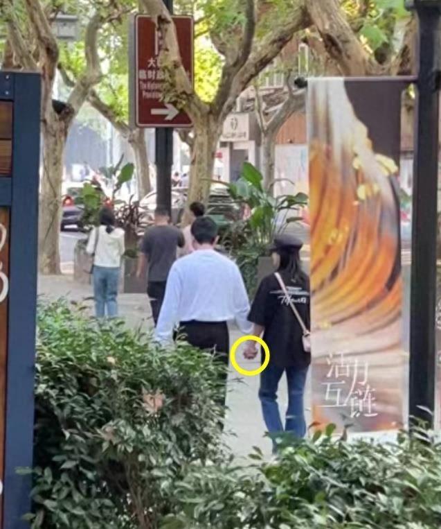 鮑蕾個(gè)人資料圖片，深度解析與探索，鮑蕾個(gè)人資料圖片，深度探究與揭秘