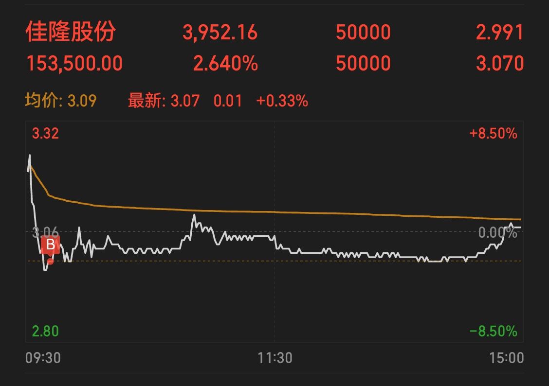 佳隆股份，引領行業(yè)前沿，展現(xiàn)企業(yè)卓越實力，佳隆股份，行業(yè)先鋒，卓越實力展現(xiàn)