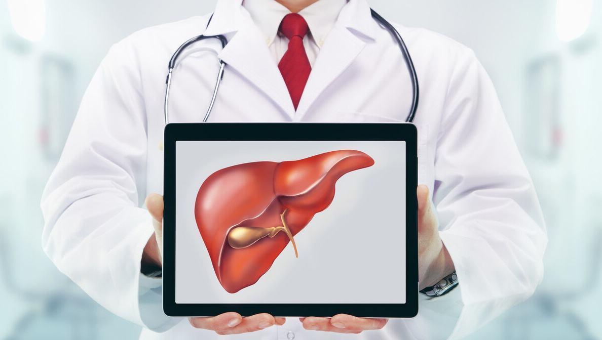 三七粉對(duì)肝臟的影響，護(hù)肝還是傷肝？，三七粉對(duì)肝臟作用解析，護(hù)肝還是傷肝？