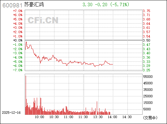 揭秘?cái)?shù)字背后的故事，探索600981的神秘面紗，揭秘?cái)?shù)字之謎，探尋600981的神秘面紗