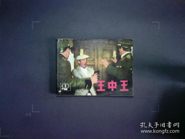 深度解析與探索揭秘