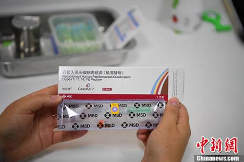 二四六香港管家婆期期準資料大全——全面了解與探索，二四六香港管家婆期期準資料大全，全面深入了解與探索