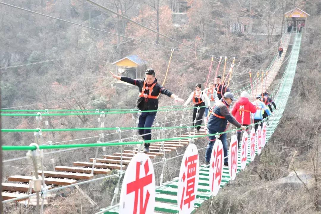 探索彩圖世界，118彩圖、乘乘圖庫與九龍彩圖的魅力，彩圖世界探索，118彩圖、乘乘圖庫與九龍彩圖的奇幻魅力