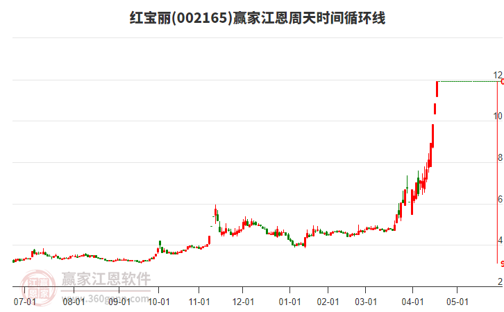 紅寶麗股票，投資潛力與市場前景分析，紅寶麗股票，投資潛力與市場前景深度剖析