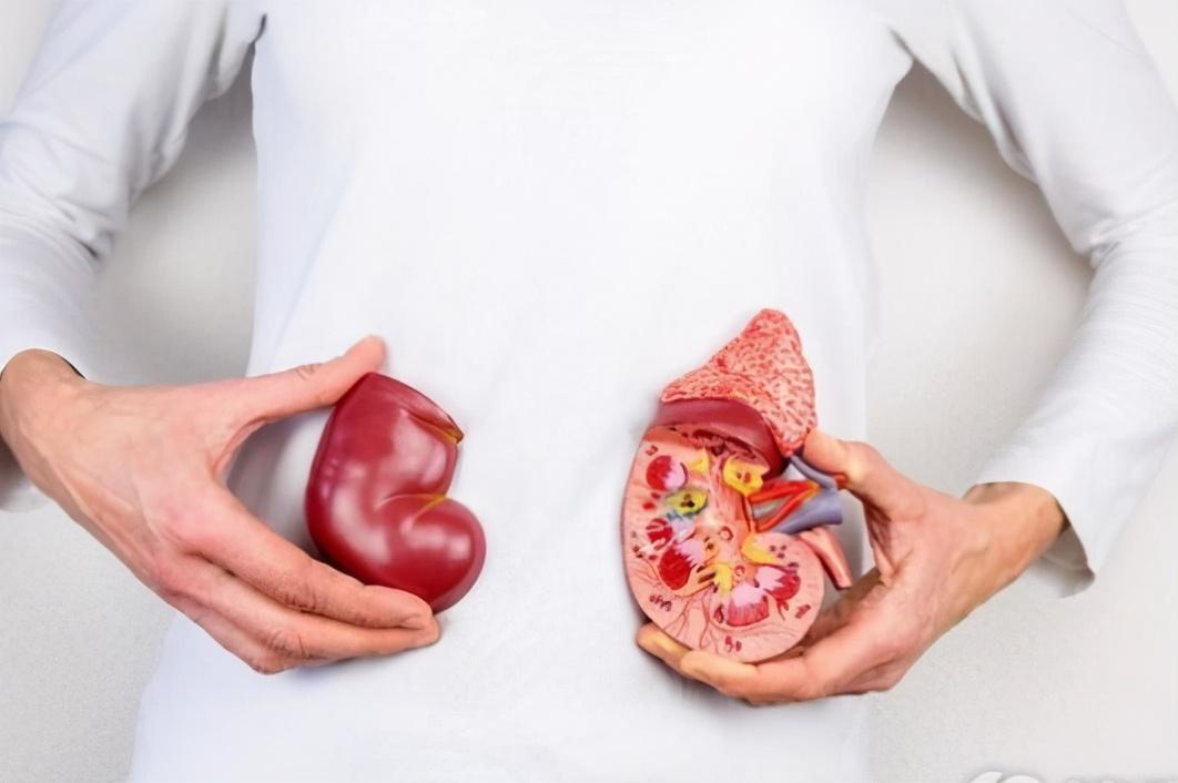 拔牙后必須遵守的十大禁忌，拔牙后必須遵守的十大禁忌注意事項