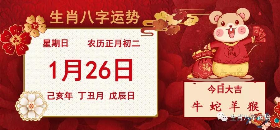 二肖二碼，深度解析與SEO優(yōu)化策略，二肖二碼深度解析與SEO優(yōu)化策略探討