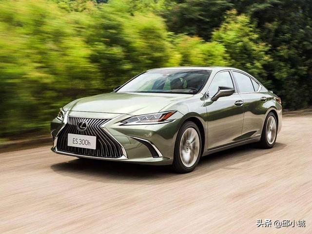 市場前景深度解析