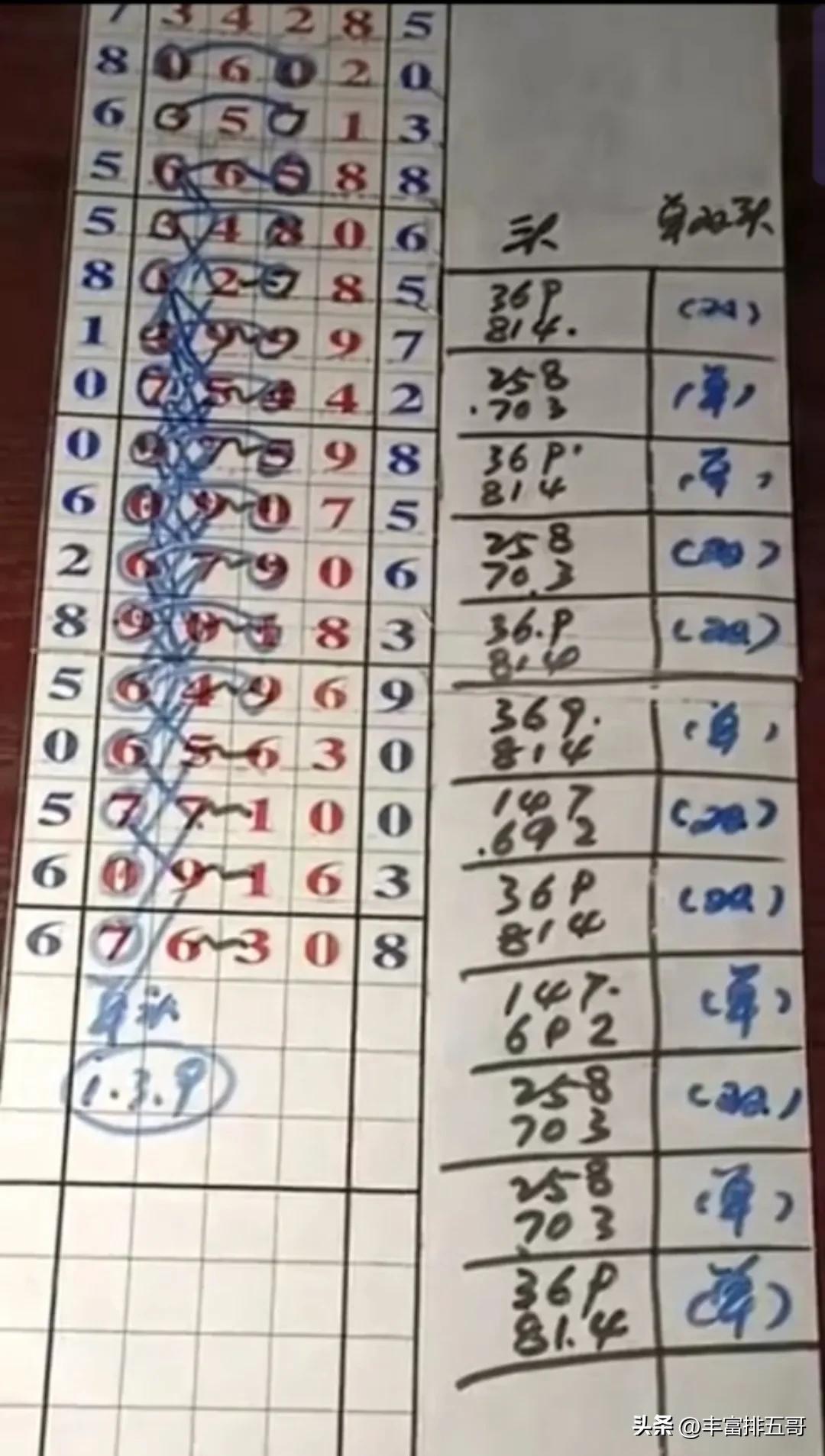 香港彩特碼單雙走勢圖，深度解析與SEO優(yōu)化策略，香港彩特碼單雙走勢圖深度解析及SEO優(yōu)化策略指南